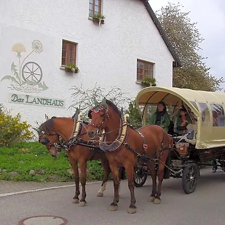 Hotel Hotel Das Landhaus Höchenschwand